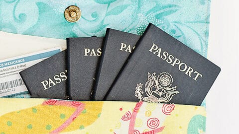 Image for DIY Travel Document Clutch (or any type of clutch…)