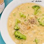 Easy Mac and Cheese Soup w/ Chicken