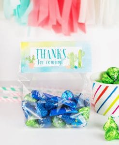 Free Printable Birthday Goodie Bag Toppers