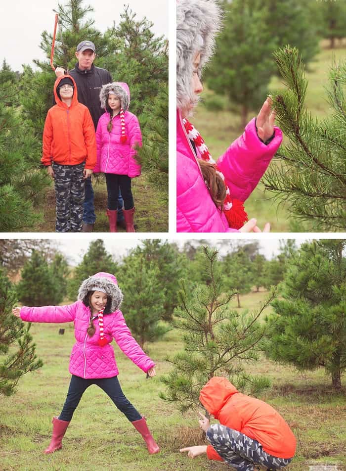 Decorating Christmas Tree Make Fuller Smaller Decorating Christmas Tree Make Fuller Smaller