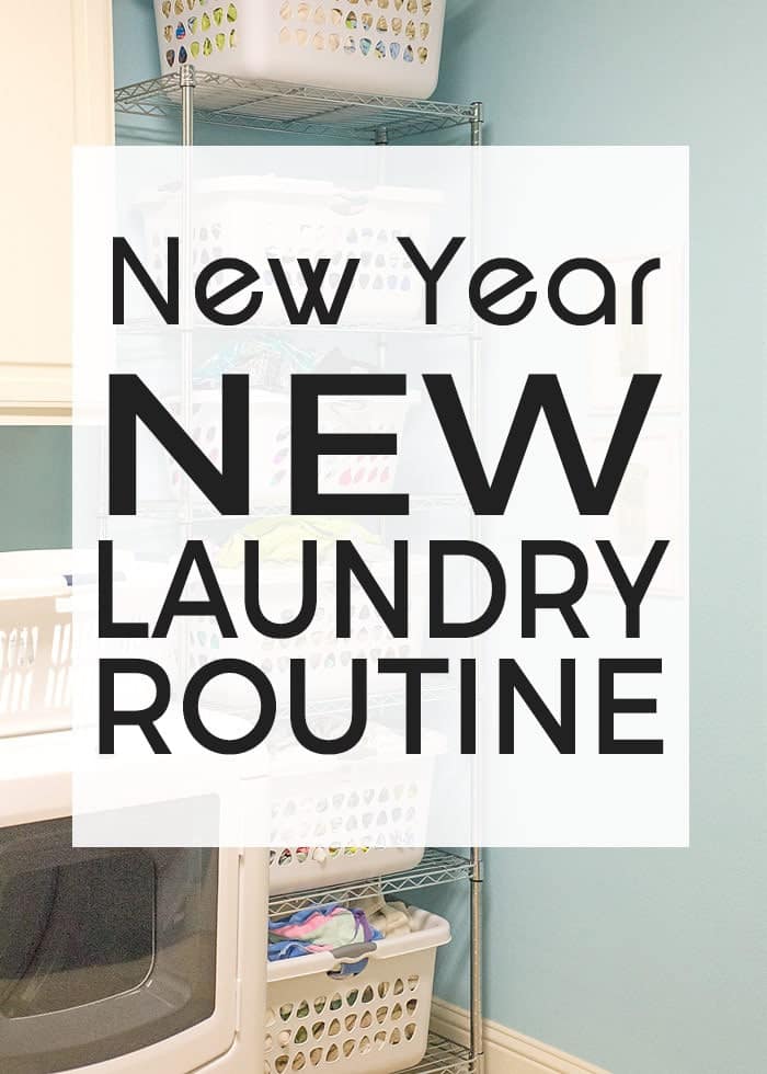 groundhog day quizlet laundry new years 28 images verve liquid laundry groundhog day quizlet laundry new years 28 images verve liquid laundry