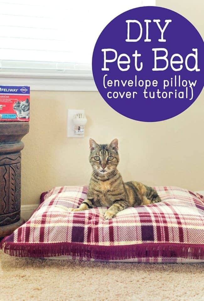 DIY Cat Bed Tutorial Make your cat a sweet new bed with an old pillow.