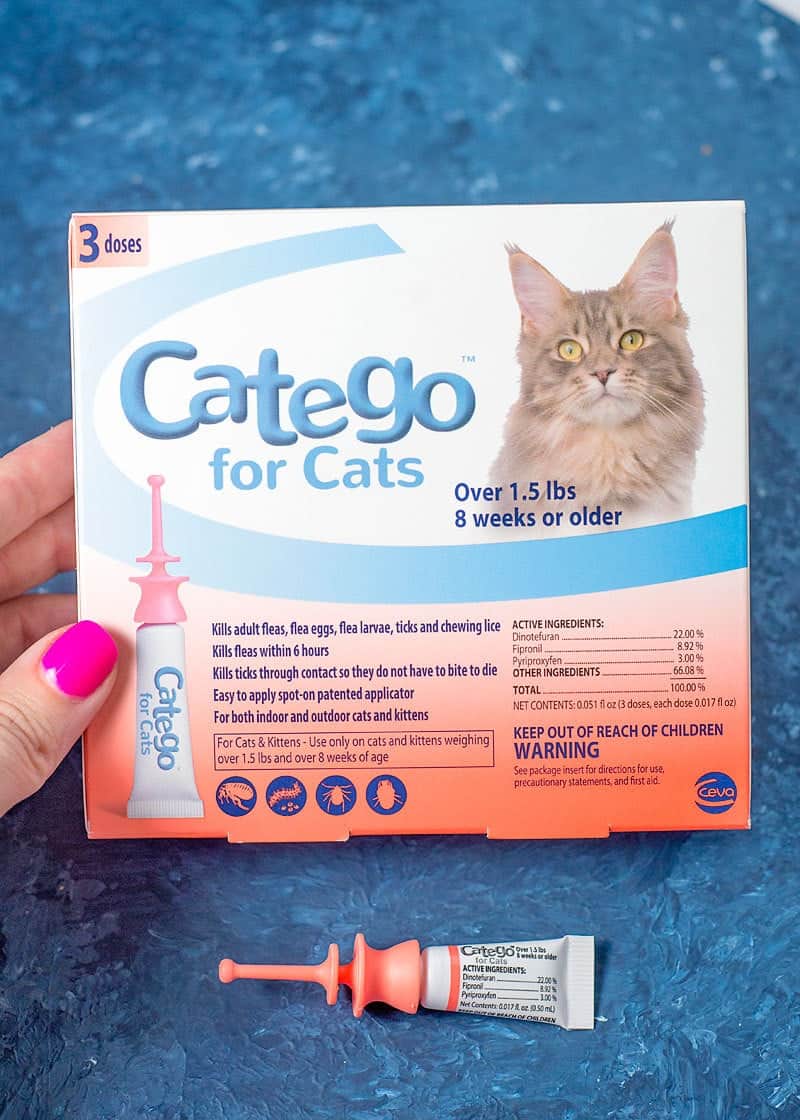 catego for cats