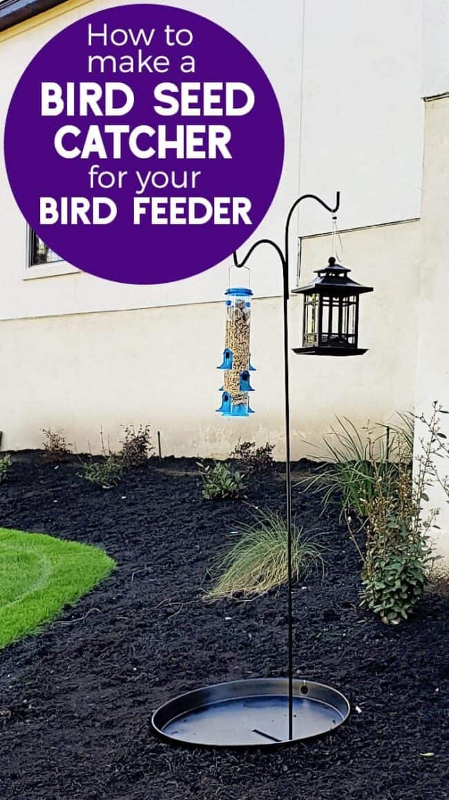 Make a Bird Seed Catcher for your Bird Feeder & Keep the Area Weed Free