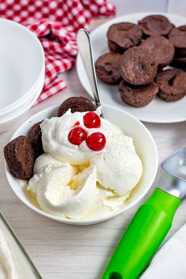 Homemade Vanilla Ice Cream Recipe (No cook recipe)