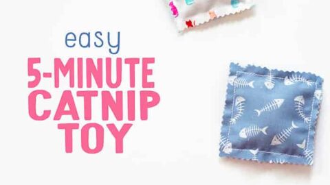 Catnip toy