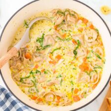Easy Chicken Tortellini Soup-image